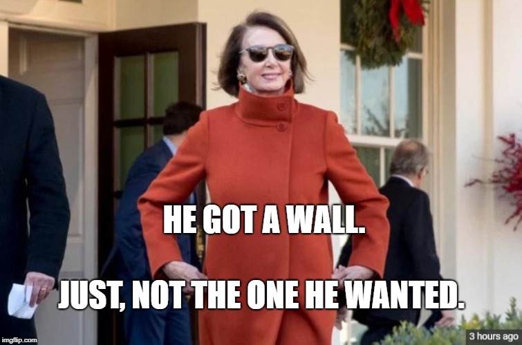 Nancy Pelosi | HE GOT A WALL. JUST, NOT THE ONE HE WANTED. | image tagged in nancy pelosi | made w/ Imgflip meme maker