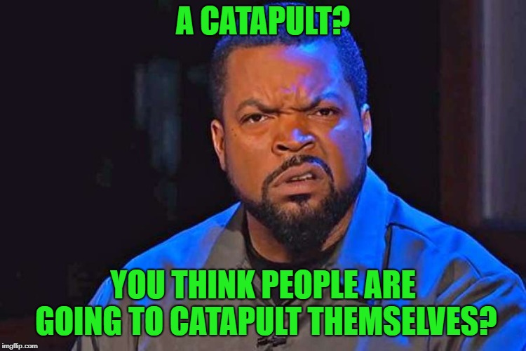 What's Wrong With You? | A CATAPULT? YOU THINK PEOPLE ARE GOING TO CATAPULT THEMSELVES? | image tagged in what's wrong with you | made w/ Imgflip meme maker