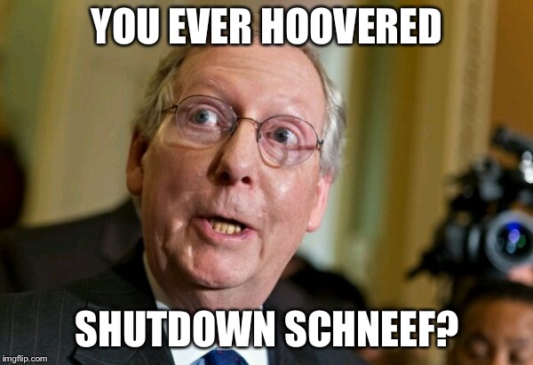 Mitch McConnell | YOU EVER HOOVERED; SHUTDOWN SCHNEEF? | image tagged in mitch mcconnell | made w/ Imgflip meme maker