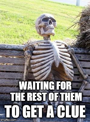 Waiting Skeleton Meme | WAITING FOR THE REST OF THEM TO GET A CLUE | image tagged in memes,waiting skeleton | made w/ Imgflip meme maker