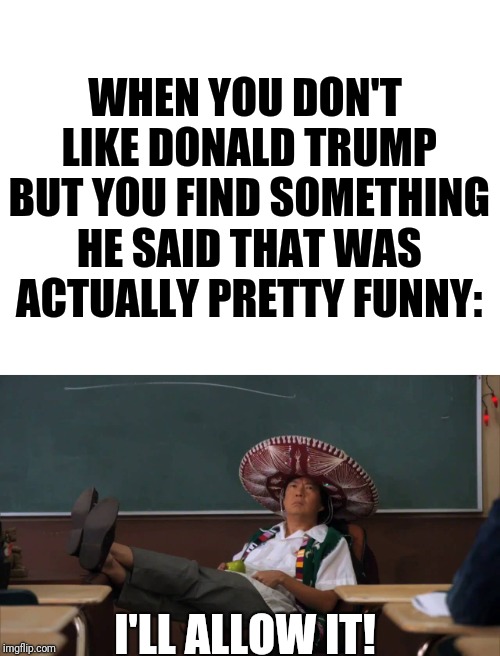 I try not to be petty, regardless of whether or not I like someone. | WHEN YOU DON'T LIKE DONALD TRUMP BUT YOU FIND SOMETHING HE SAID THAT WAS ACTUALLY PRETTY FUNNY:; I'LL ALLOW IT! | image tagged in blank white template,senor chang i'll allow it,donald trump | made w/ Imgflip meme maker
