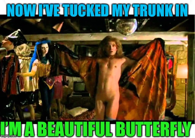 NOW I’VE TUCKED MY TRUNK IN I’M A BEAUTIFUL BUTTERFLY | made w/ Imgflip meme maker