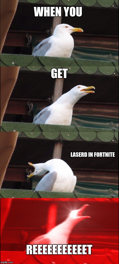 Inhaling Seagull Meme | WHEN YOU; GET; LASERD IN FORTNITE; REEEEEEEEEEET | image tagged in memes,inhaling seagull | made w/ Imgflip meme maker