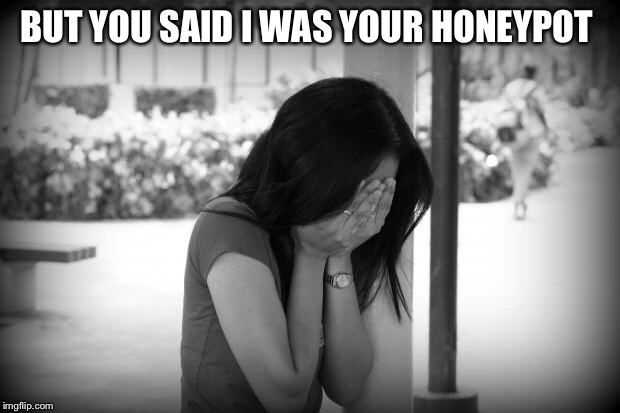 sad woman | BUT YOU SAID I WAS YOUR HONEYPOT | image tagged in sad woman | made w/ Imgflip meme maker