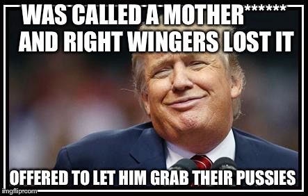 Frump A Trump |  WAS CALLED A MOTHER****** AND RIGHT WINGERS LOST IT; OFFERED TO LET HIM GRAB THEIR PUSSIES | image tagged in frump a trump | made w/ Imgflip meme maker