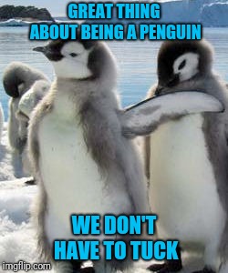 GREAT THING ABOUT BEING A PENGUIN WE DON'T HAVE TO TUCK | made w/ Imgflip meme maker