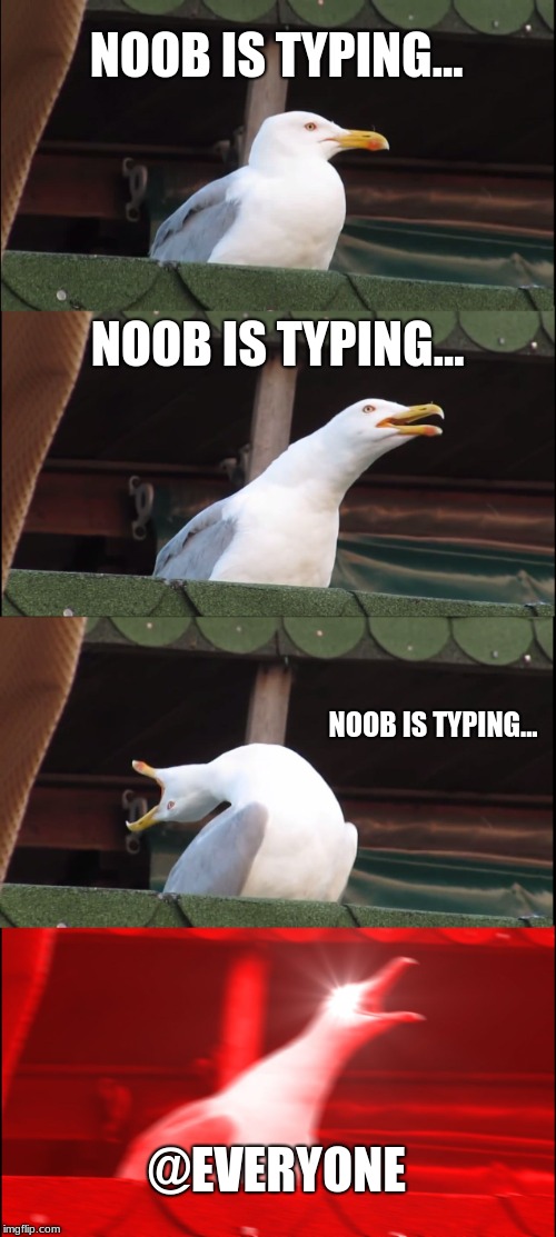 Inhaling Seagull Meme | NOOB IS TYPING... NOOB IS TYPING... NOOB IS TYPING... @EVERYONE | image tagged in memes,inhaling seagull | made w/ Imgflip meme maker