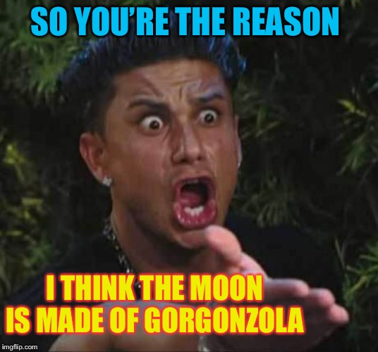 Jersey shore  | SO YOU’RE THE REASON I THINK THE MOON IS MADE OF GORGONZOLA | image tagged in jersey shore | made w/ Imgflip meme maker