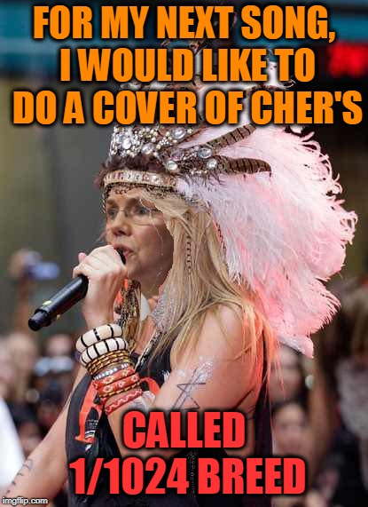 "Half Breed" - cover -song- Cher | FOR MY NEXT SONG, I WOULD LIKE TO DO A COVER OF CHER'S; CALLED 1/1024 BREED | image tagged in diva,elizabeth warren,liar liar,karaoke,half baked | made w/ Imgflip meme maker