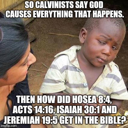 Third World Skeptical Kid Meme | SO CALVINISTS SAY GOD CAUSES EVERYTHING THAT HAPPENS. THEN HOW DID HOSEA 8:4, ACTS 14:16, ISAIAH 30:1 AND JEREMIAH 19:5 GET IN THE BIBLE? | image tagged in memes,third world skeptical kid | made w/ Imgflip meme maker