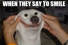 Smiling | WHEN THEY SAY TO SMILE | image tagged in smile,memes | made w/ Imgflip meme maker