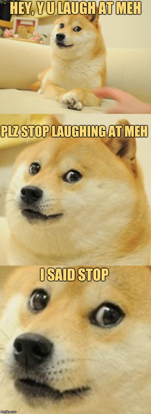 Doge intensify | HEY, Y U LAUGH AT MEH; PLZ STOP LAUGHING AT MEH; I SAID STOP | image tagged in memes,doge 2,doge,intensifies | made w/ Imgflip meme maker