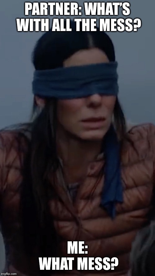 Bird box casino | PARTNER: WHAT’S WITH ALL THE MESS? ME: WHAT MESS? | image tagged in bird box casino | made w/ Imgflip meme maker