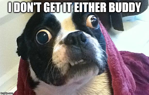Confused Dog | I DON'T GET IT EITHER BUDDY | image tagged in confused dog | made w/ Imgflip meme maker
