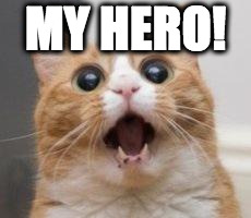 Wow | MY HERO! | image tagged in wow | made w/ Imgflip meme maker