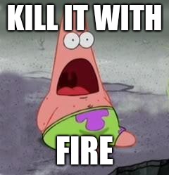 Suprised Patrick | KILL IT WITH FIRE | image tagged in suprised patrick | made w/ Imgflip meme maker