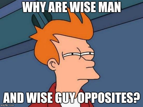 Futurama Fry Meme | WHY ARE WISE MAN; AND WISE GUY OPPOSITES? | image tagged in memes,futurama fry | made w/ Imgflip meme maker