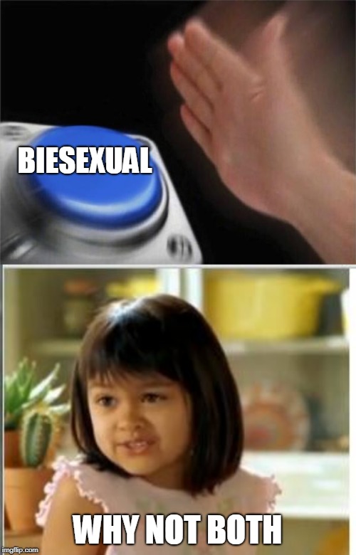 BIESEXUAL WHY NOT BOTH | image tagged in why not both,memes,blank nut button | made w/ Imgflip meme maker