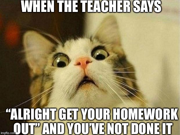 Scared Cat Meme | WHEN THE TEACHER SAYS; “ALRIGHT GET YOUR HOMEWORK OUT” AND YOU’VE NOT DONE IT | image tagged in memes,scared cat | made w/ Imgflip meme maker