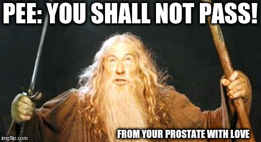 you shall not pass | PEE: YOU SHALL NOT PASS! FROM YOUR PROSTATE WITH LOVE | image tagged in you shall not pass | made w/ Imgflip meme maker