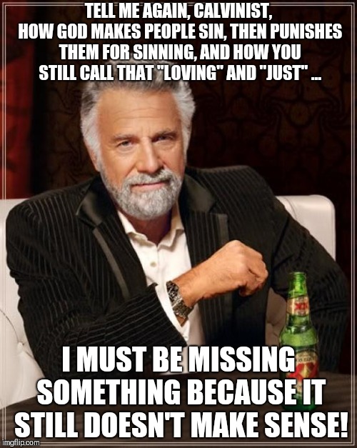 The Most Interesting Man In The World Meme | TELL ME AGAIN, CALVINIST, HOW GOD MAKES PEOPLE SIN, THEN PUNISHES THEM FOR SINNING, AND HOW YOU STILL CALL THAT "LOVING" AND "JUST" ... I MUST BE MISSING SOMETHING BECAUSE IT STILL DOESN'T MAKE SENSE! | image tagged in memes,the most interesting man in the world | made w/ Imgflip meme maker