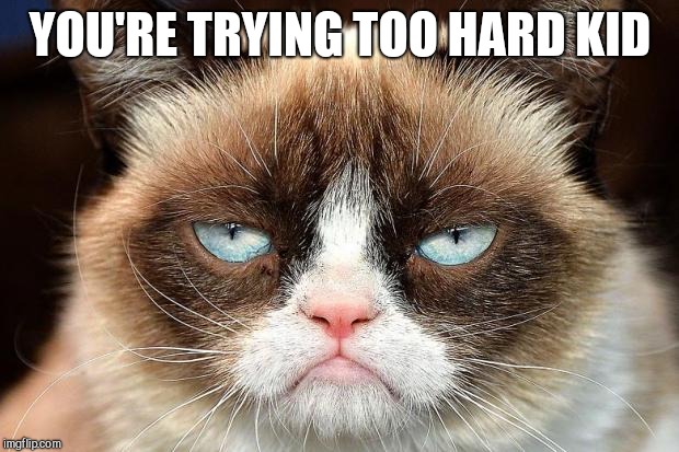 Grumpy Cat Not Amused Meme | YOU'RE TRYING TOO HARD KID | image tagged in memes,grumpy cat not amused,grumpy cat | made w/ Imgflip meme maker