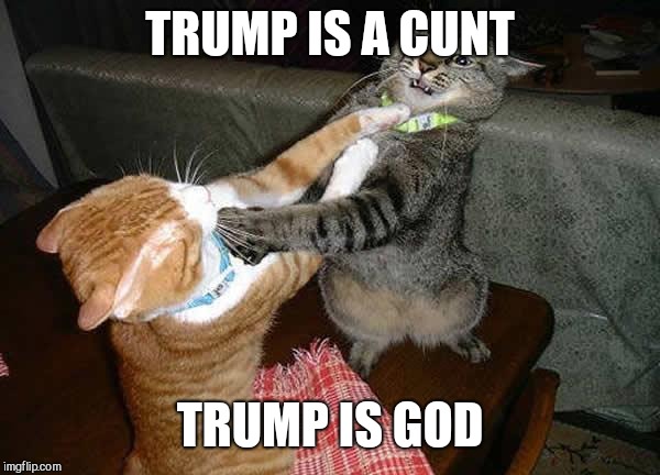 Two cats fighting for real | TRUMP IS A C**T TRUMP IS GOD | image tagged in two cats fighting for real | made w/ Imgflip meme maker