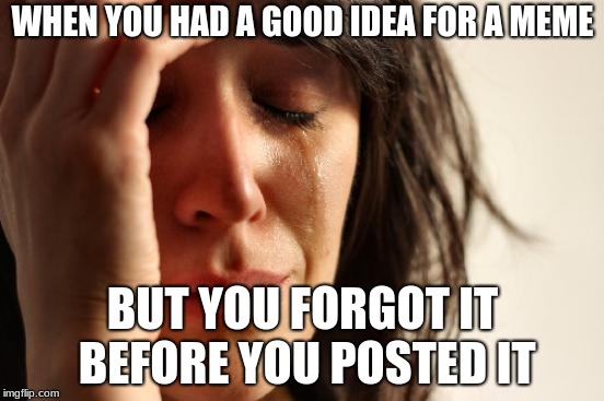 First World Problems | WHEN YOU HAD A GOOD IDEA FOR A MEME; BUT YOU FORGOT IT BEFORE YOU POSTED IT | image tagged in memes,first world problems | made w/ Imgflip meme maker