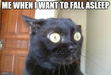 Cannot Be Unseen Cat | ME WHEN I WANT TO FALL ASLEEP | image tagged in cannot be unseen cat | made w/ Imgflip meme maker