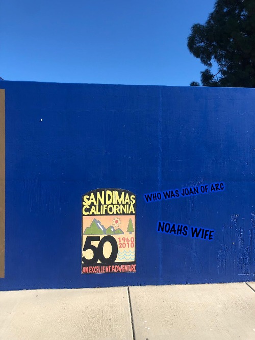 Found this Bogus wall today, just couldn't help myself. | WHO WAS JOAN OF ARC; NOAHS WIFE | image tagged in bill and ted,bogus,san dimas | made w/ Imgflip meme maker