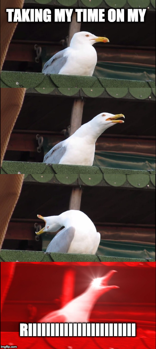 Inhaling Seagull | TAKING MY TIME ON MY; RIIIIIIIIIIIIIIIIIIIIIIII | image tagged in memes,inhaling seagull | made w/ Imgflip meme maker