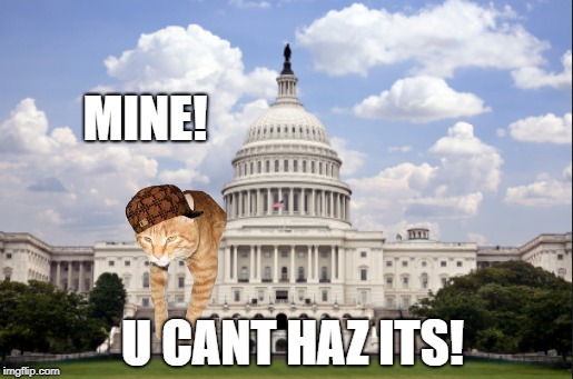 MINE! U CANT HAZ ITS! | image tagged in funny,memes,animals,kermit the frog | made w/ Imgflip meme maker