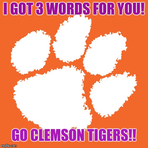 Clemson Tigers | I GOT 3 WORDS FOR YOU! GO CLEMSON TIGERS!! | image tagged in clemson tigers | made w/ Imgflip meme maker