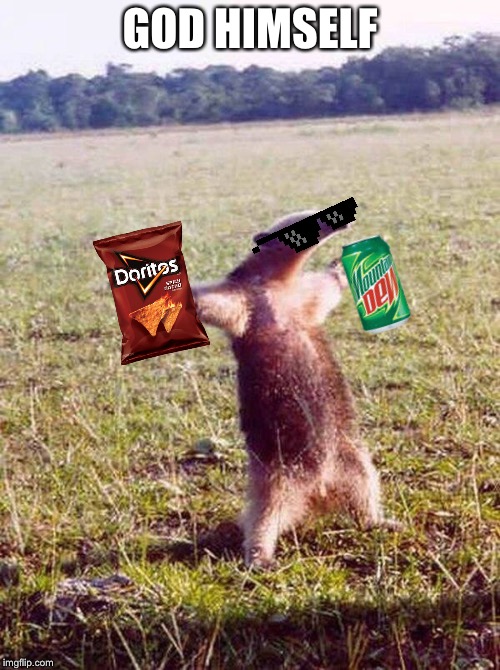 God himself | GOD HIMSELF | image tagged in fight me anteater,mountain dew,doritos,god | made w/ Imgflip meme maker