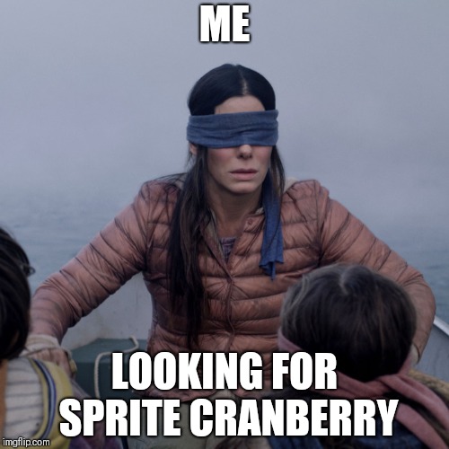 Bird Box | ME; LOOKING FOR SPRITE CRANBERRY | image tagged in bird box | made w/ Imgflip meme maker