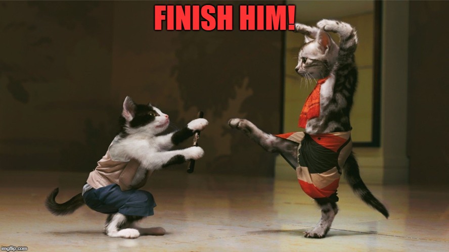 FINISH HIM! | made w/ Imgflip meme maker