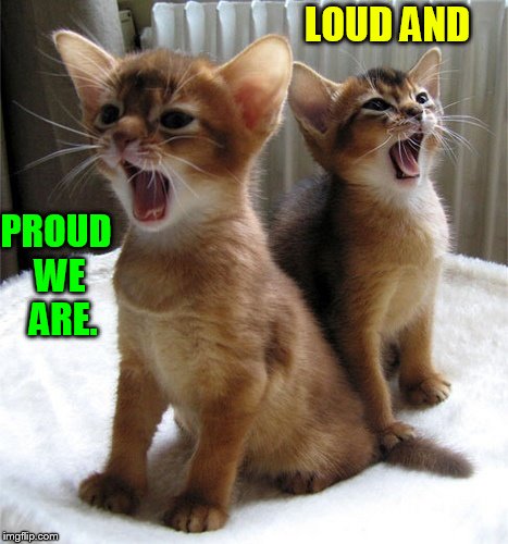 LOUD AND PROUD WE  ARE. | made w/ Imgflip meme maker