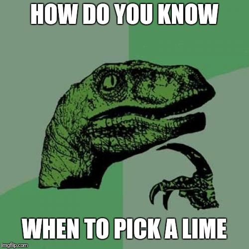 Philosoraptor Meme | HOW DO YOU KNOW; WHEN TO PICK A LIME | image tagged in memes,philosoraptor | made w/ Imgflip meme maker