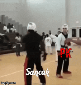 image tagged in gifs | made w/ Imgflip video-to-gif maker