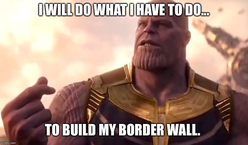 What I have to do | I WILL DO WHAT I HAVE TO DO... TO BUILD MY BORDER WALL. | image tagged in thanos snap | made w/ Imgflip meme maker