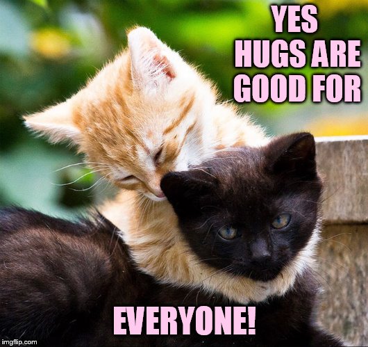 YES HUGS ARE GOOD FOR EVERYONE! | made w/ Imgflip meme maker