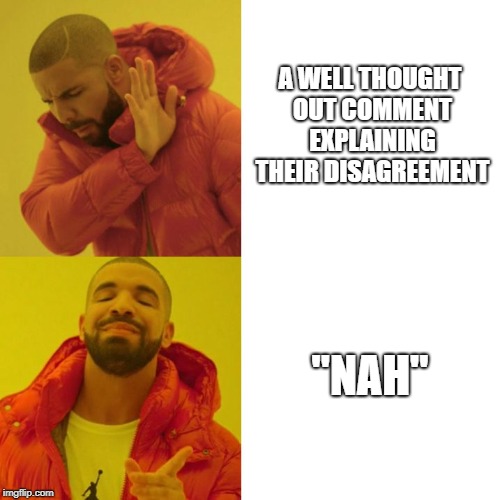 Drake Blank | A WELL THOUGHT OUT COMMENT EXPLAINING THEIR DISAGREEMENT; "NAH" | image tagged in drake blank,memes | made w/ Imgflip meme maker