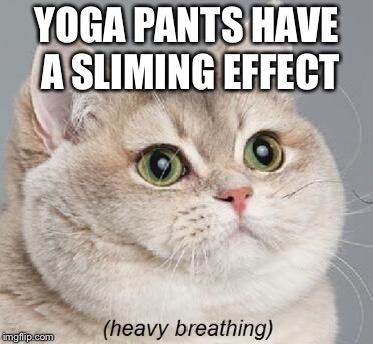 Heavy Breathing Cat | YOGA PANTS HAVE A SLIMING EFFECT | image tagged in memes,heavy breathing cat | made w/ Imgflip meme maker
