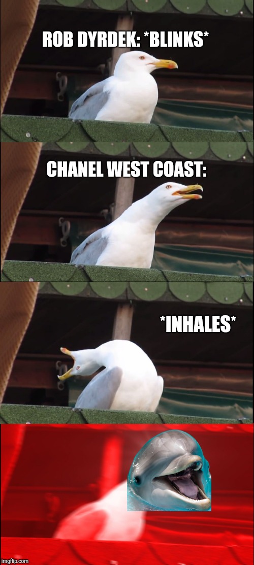 Inhaling Seagull Meme | ROB DYRDEK: *BLINKS*; CHANEL WEST COAST:; *INHALES* | image tagged in memes,inhaling seagull | made w/ Imgflip meme maker