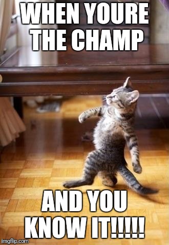 Cool Cat Stroll | WHEN YOURE THE CHAMP; AND YOU KNOW IT!!!!! | image tagged in memes,cool cat stroll | made w/ Imgflip meme maker