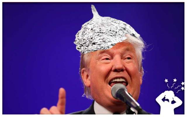 High Quality Trump tin foil hat Blank Meme Template