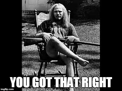 Ronnie Van Zant - Lynyrd Skynyrd | YOU GOT THAT RIGHT | image tagged in ronnie van zant - lynyrd skynyrd | made w/ Imgflip meme maker