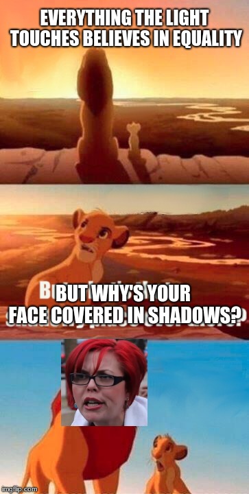 Simba Shadowy Place Meme | EVERYTHING THE LIGHT TOUCHES BELIEVES IN EQUALITY; BUT WHY'S YOUR FACE COVERED IN SHADOWS? | image tagged in memes,simba shadowy place | made w/ Imgflip meme maker