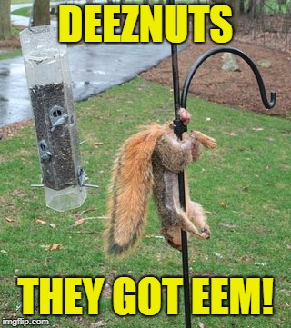 DEEZNUTS THEY GOT EEM! | made w/ Imgflip meme maker