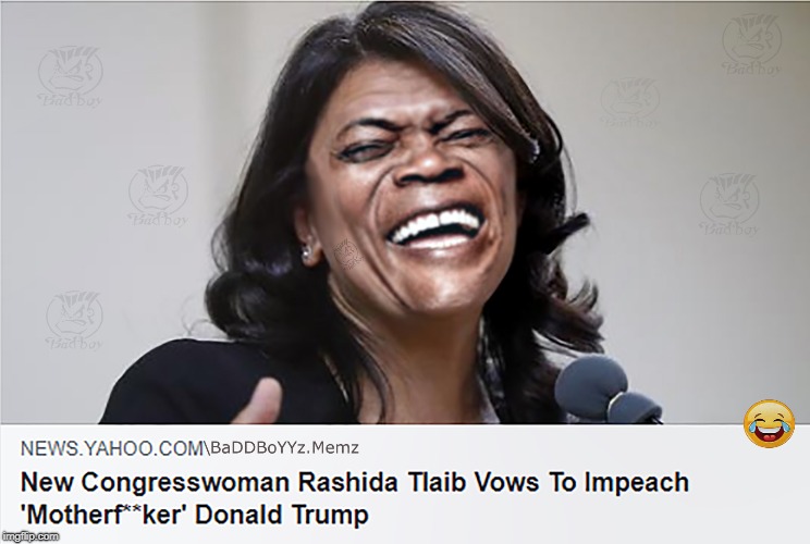 The new congress starts out like a motherfu@ker | image tagged in rashida tlaib,donald trump,new congress,political meme,funny,funny memes | made w/ Imgflip meme maker